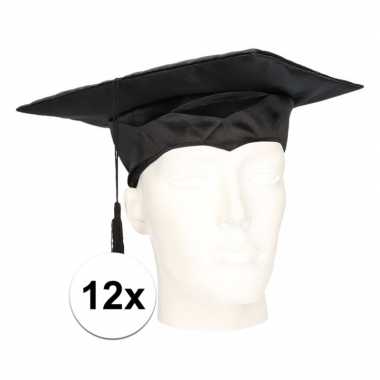 12 geslaagd / afstudeerhoedjes / petten voor volwassenen