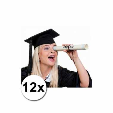 12 Luxe afstudeer/ geslaagd hoedjes