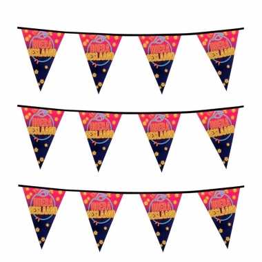 3x vlaggenlijnen hoera geslaagd 6 meter