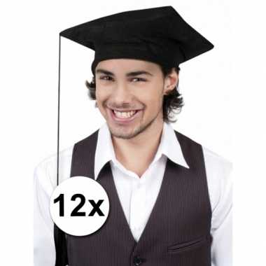 Geslaagd/ afstudeer hoedjes zwart 12x